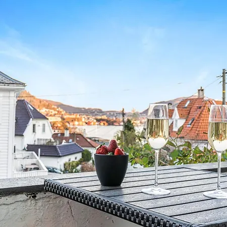 Big W/ A View And Parking Bergen